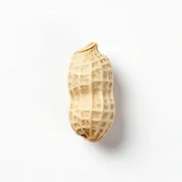 Hog peanut