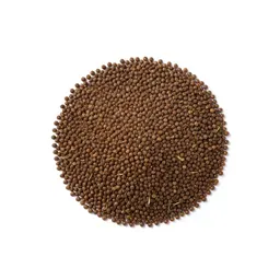Horse gram