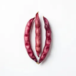 Hyacinth bean
