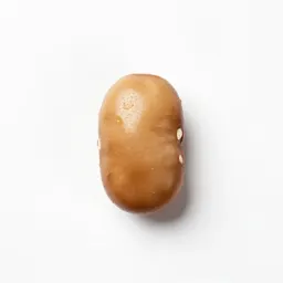 Jack bean