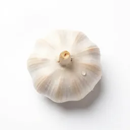 Keeled garlic