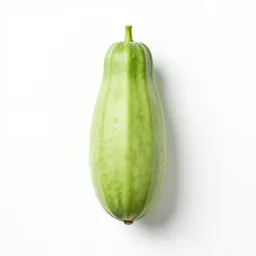 Luffa