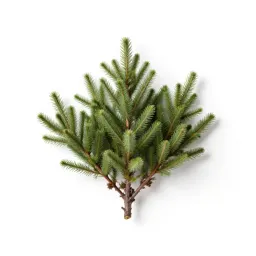 Minniebush