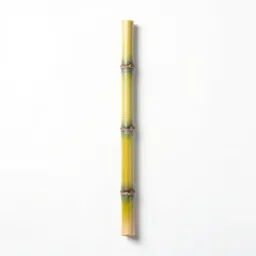 Noble cane