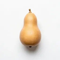 Prairie gourd