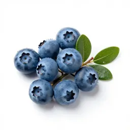 Rabbiteye blueberry