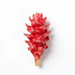 Red ginger