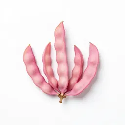 Sainfoin