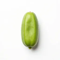 Salsilla