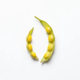 Sickle alfalfa