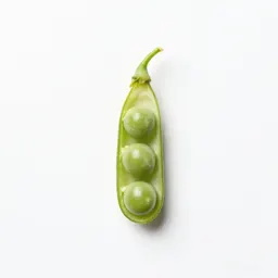 Singletary pea