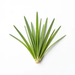 Smut grass