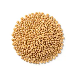 Soft wheat