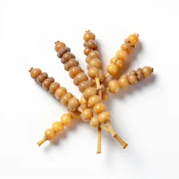 Sorgo