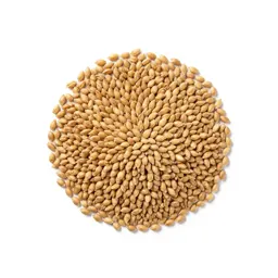 Spelt