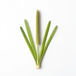 Spike rush