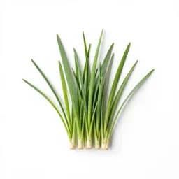 Squaw grass
