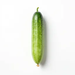 Squirting cucumber