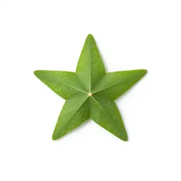 Star grass