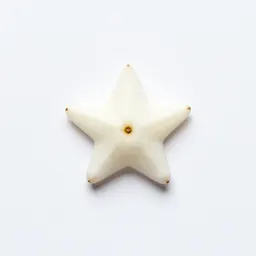 Star-of-Bethlehem