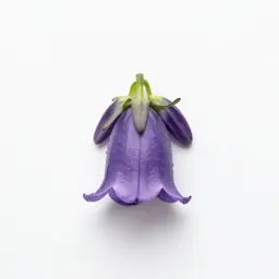 Stink bell