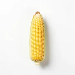 Sweet corn