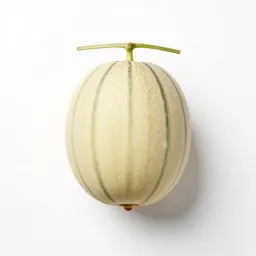 Sweet melon