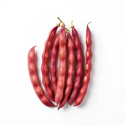 Sword bean