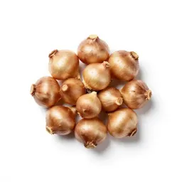 Alliaceous plant