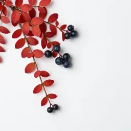 Alpine bearberry