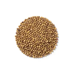Axseed