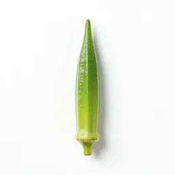 Okra