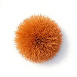 Orange grass