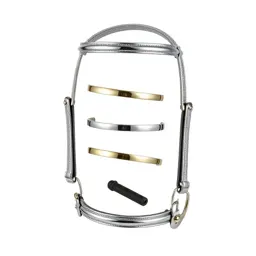 Bridle with brass fittings