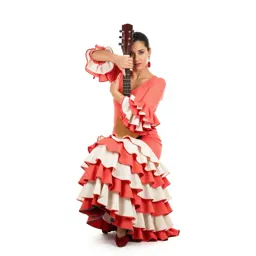 Flamenco guitarist