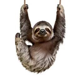 Sloth hanging
