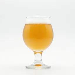 Craft beer in a tulip glass