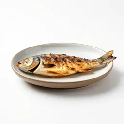 Grilled fish on a plate