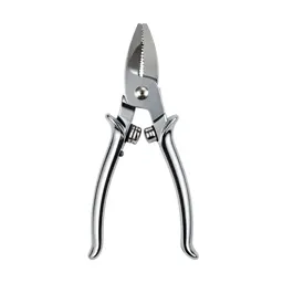 Pair of secateurs