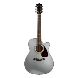 Acoustic guitar