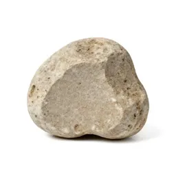 Chunk of pumice