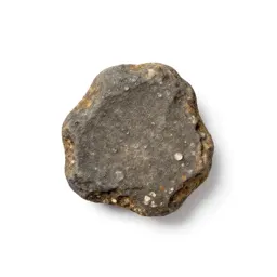 Meteorite fragment