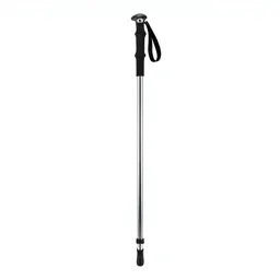 Trekking pole
