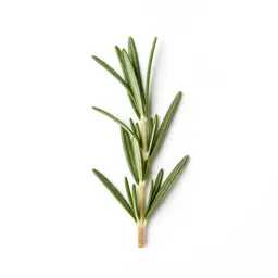 Rosemary sprig