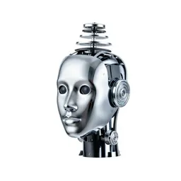 Humanoid robot head