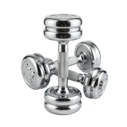 Pair of dumbbells