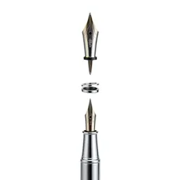 Calligraphy dip pen with nibs