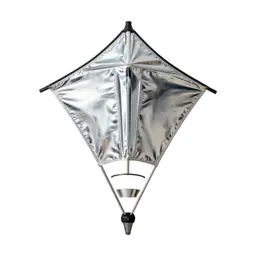 Kite