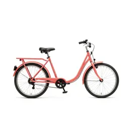 Cargo bicycle