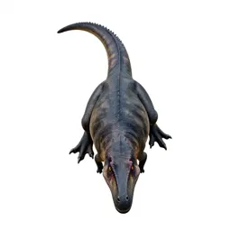 Dimorphodon
